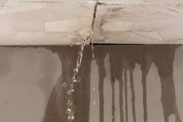 Professional Structural Drying technician working in Furlong, PA
